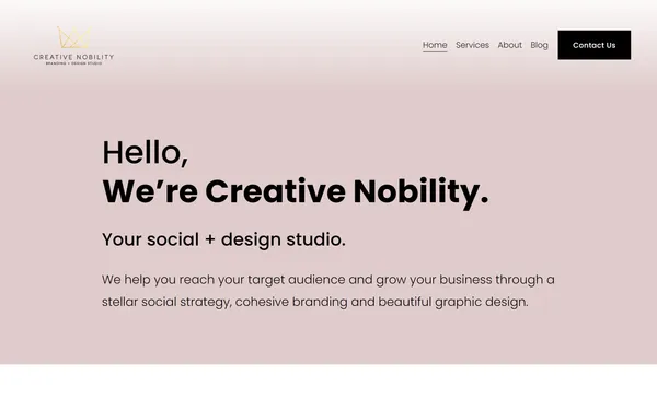 img of B2B Digital Marketing Agency - Creative Nobility